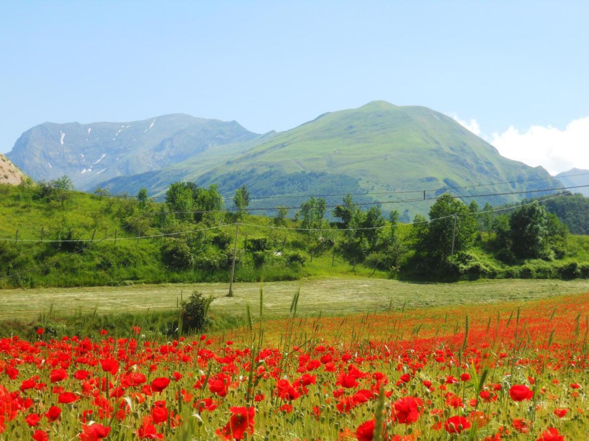 Agriturismo Le Castellare มอนเตมอนาโก ภายนอก รูปภาพ