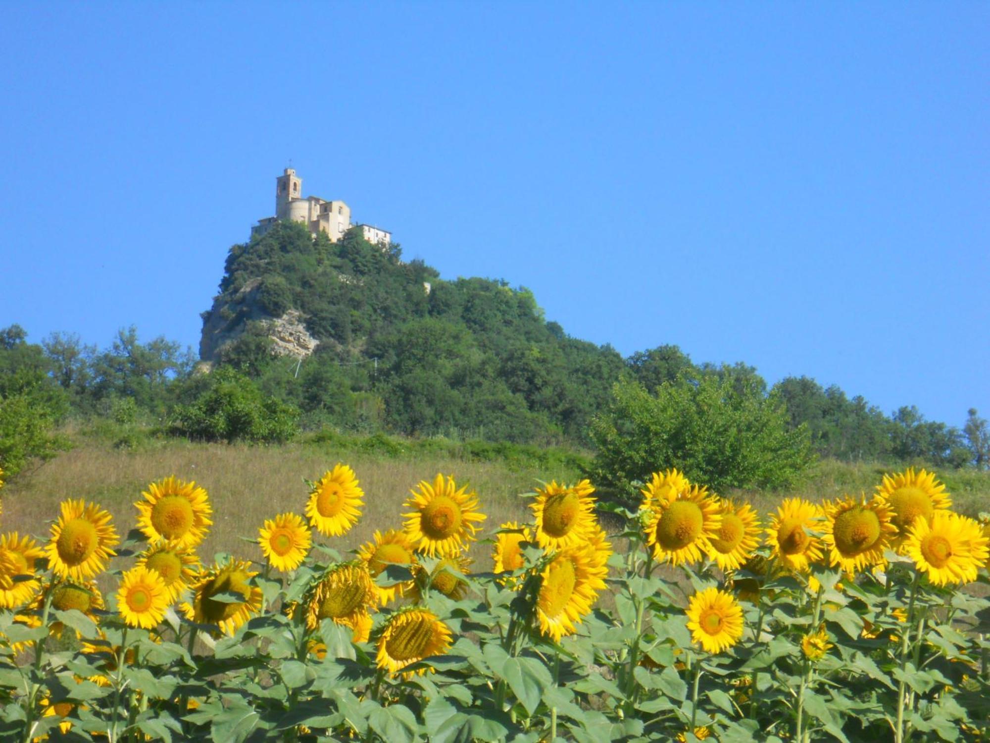 Agriturismo Le Castellare มอนเตมอนาโก ภายนอก รูปภาพ