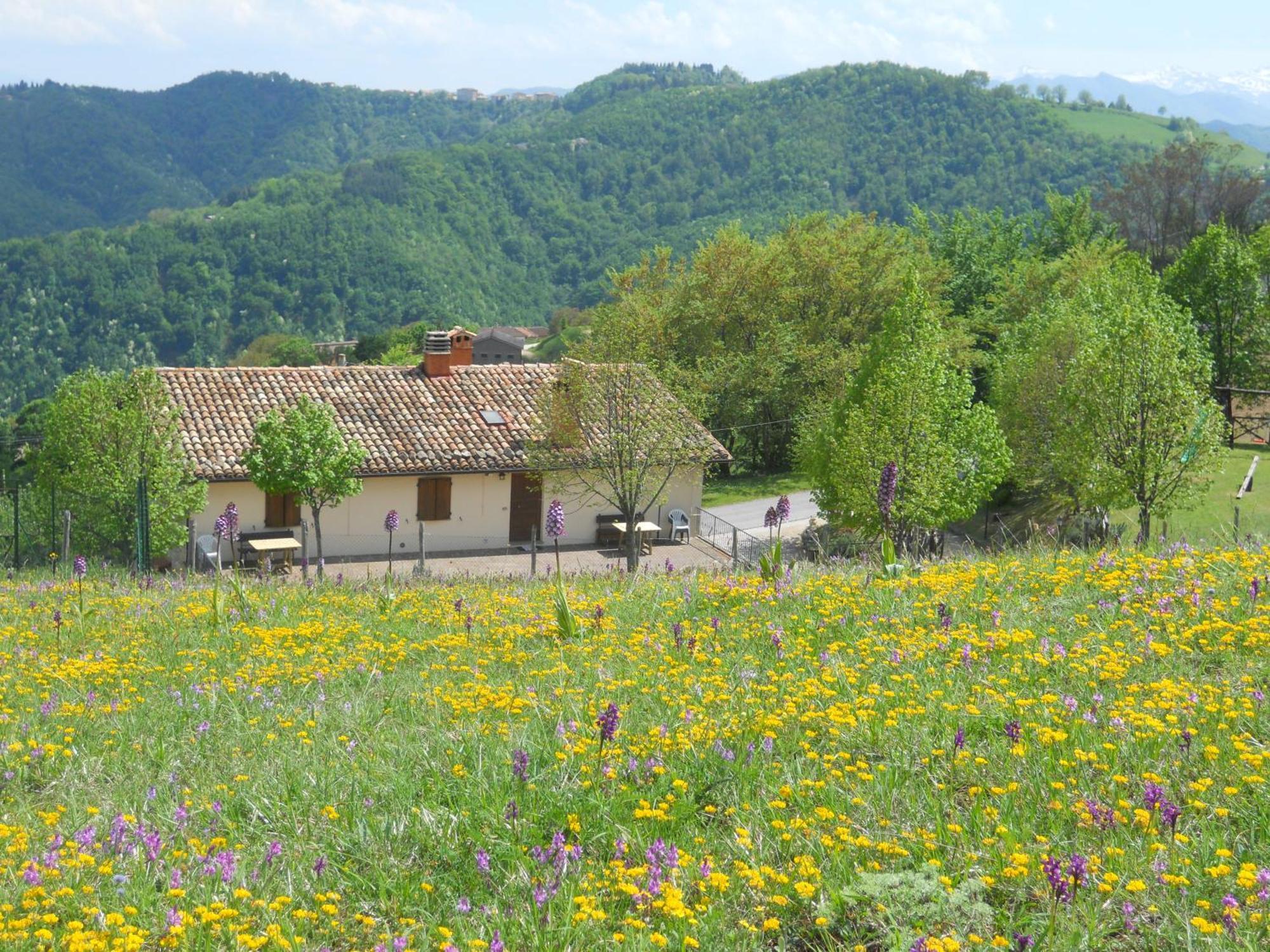 Agriturismo Le Castellare มอนเตมอนาโก ภายนอก รูปภาพ