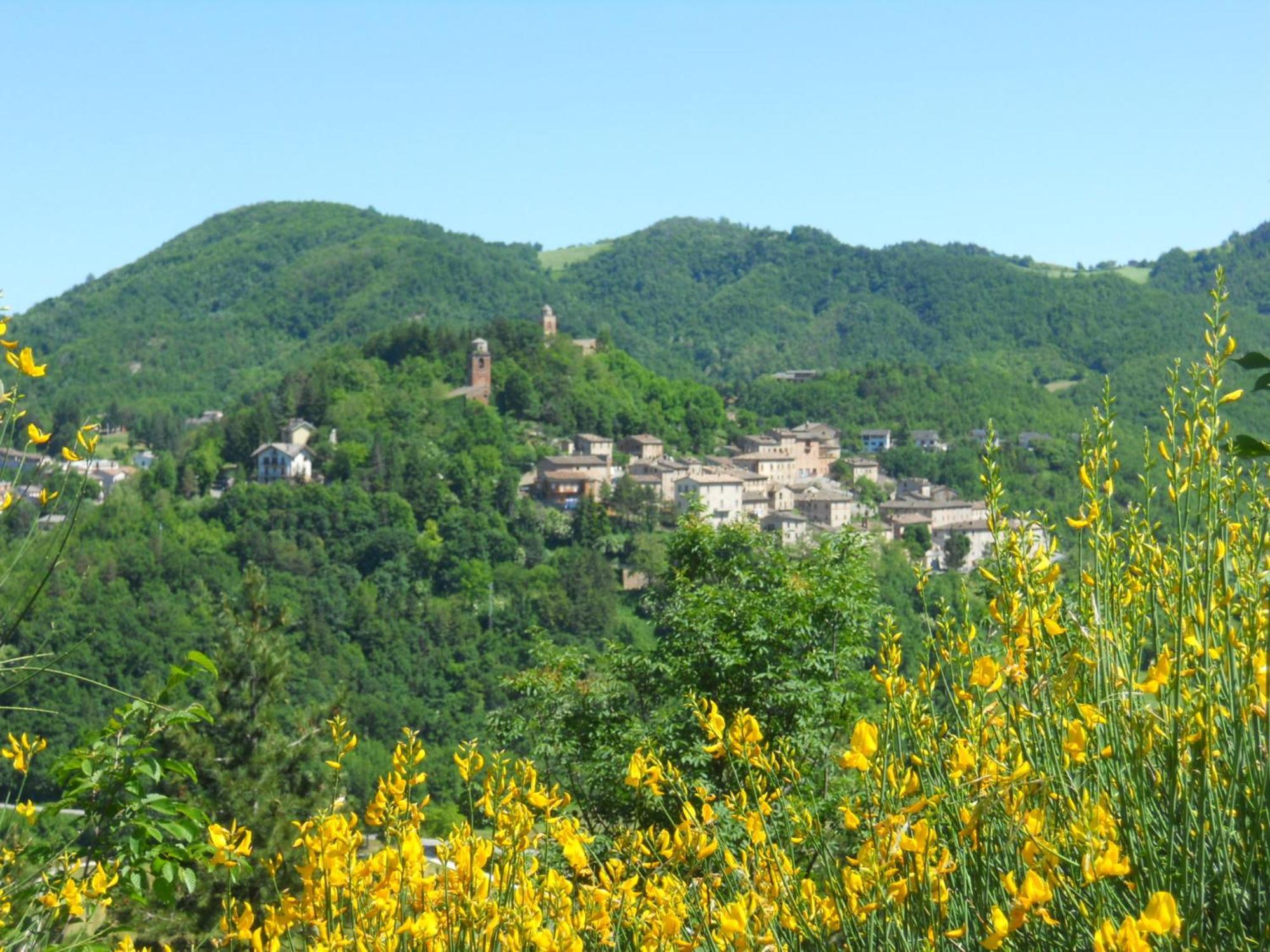 Agriturismo Le Castellare มอนเตมอนาโก ภายนอก รูปภาพ
