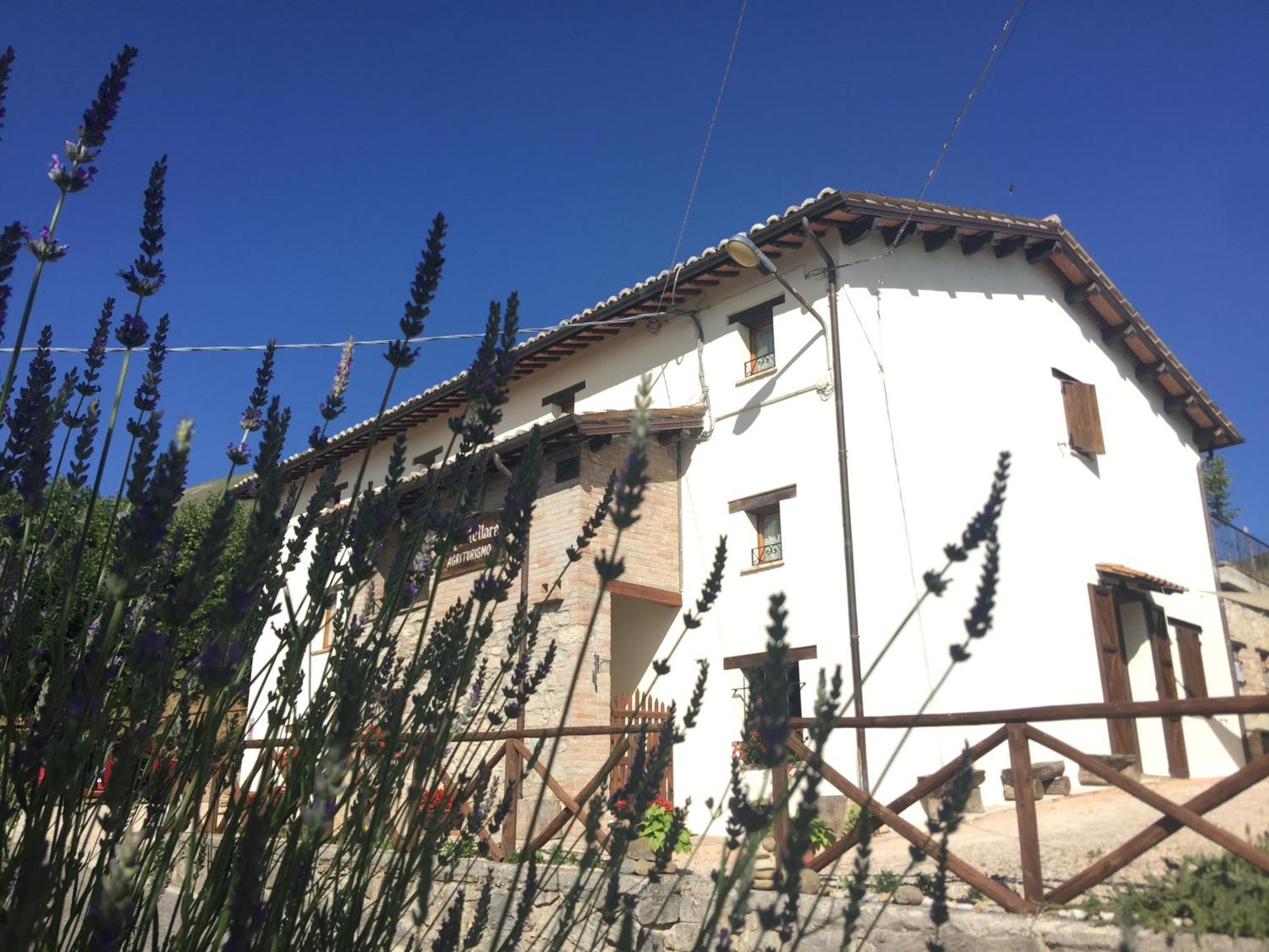 Agriturismo Le Castellare มอนเตมอนาโก ภายนอก รูปภาพ