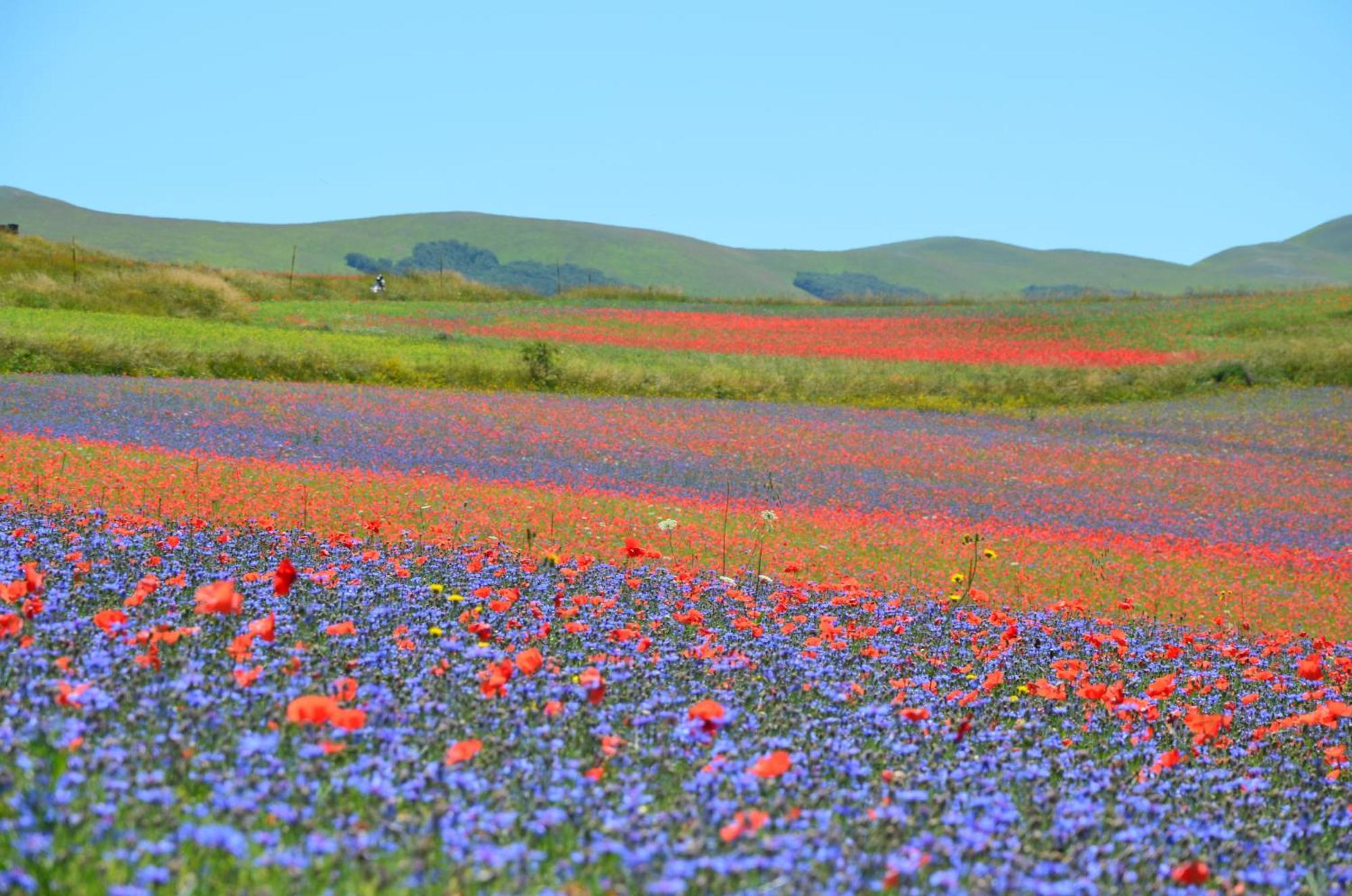 Agriturismo Le Castellare มอนเตมอนาโก ภายนอก รูปภาพ