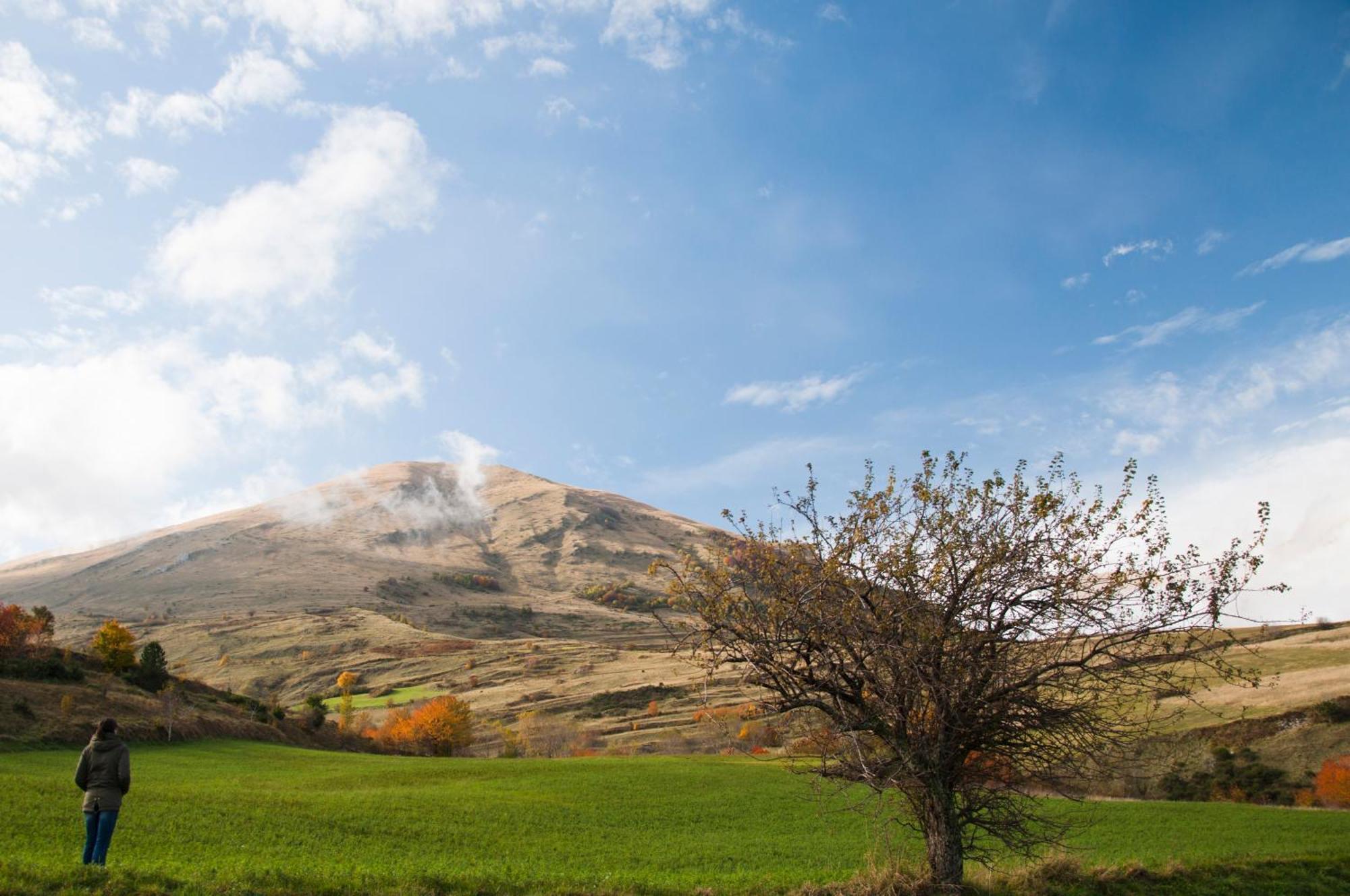 Agriturismo Le Castellare มอนเตมอนาโก ภายนอก รูปภาพ